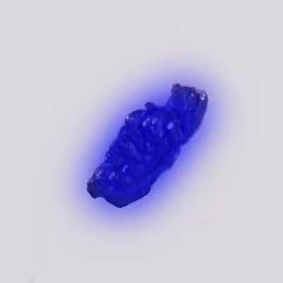 Mendelevium