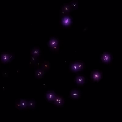 Nobelium