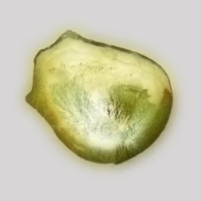 Polonium