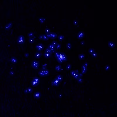 Actinium